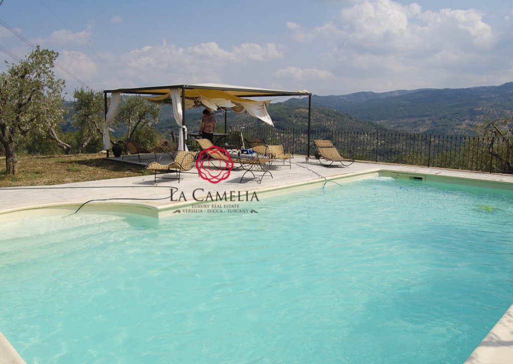 Sale Farmhouse Seggiano - Farmhouse with swimming pool on the hills of Seggiano Locality 