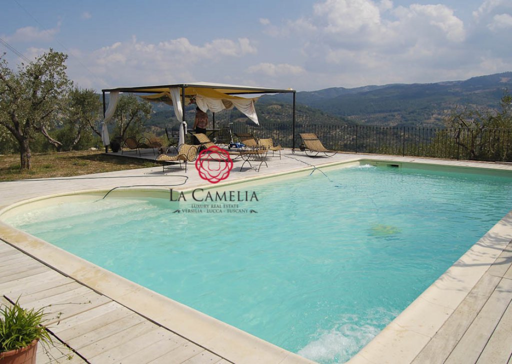 Sale Farmhouse Seggiano - Farmhouse with swimming pool on the hills of Seggiano Locality 