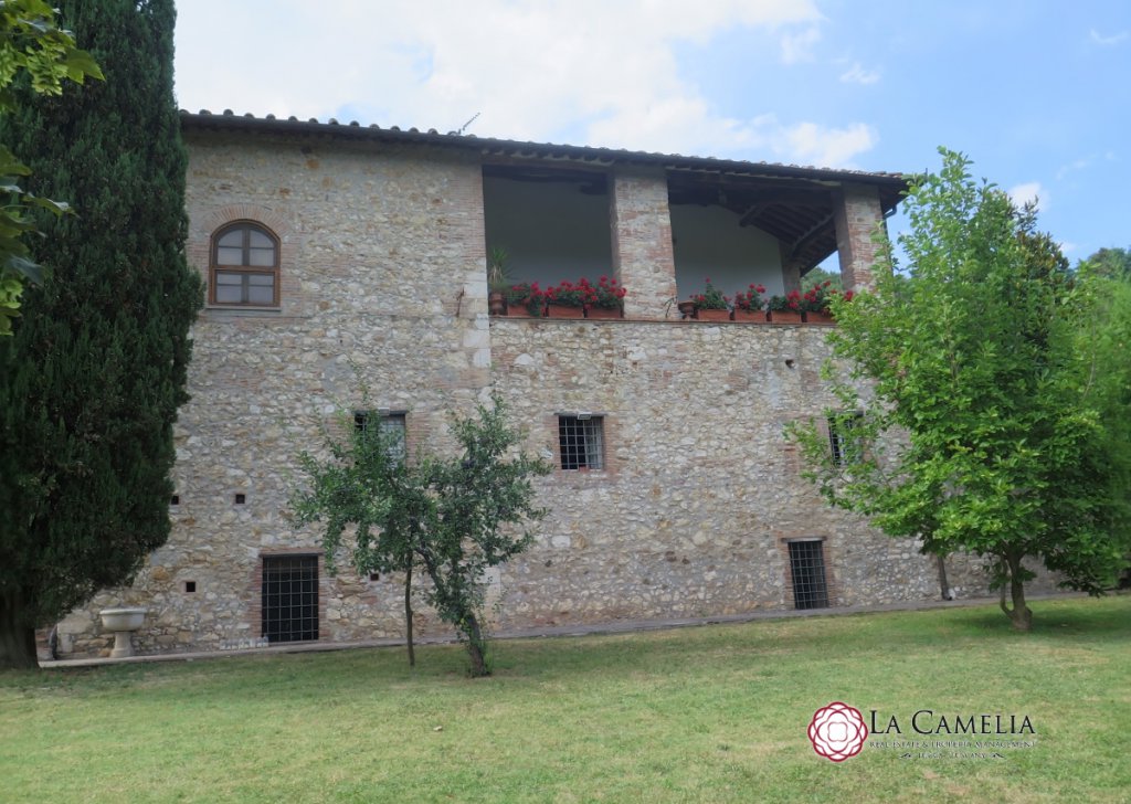 Vendita Casolare Lucca - Casolare con giardino e uliveto colline di Lucca  Località Colline