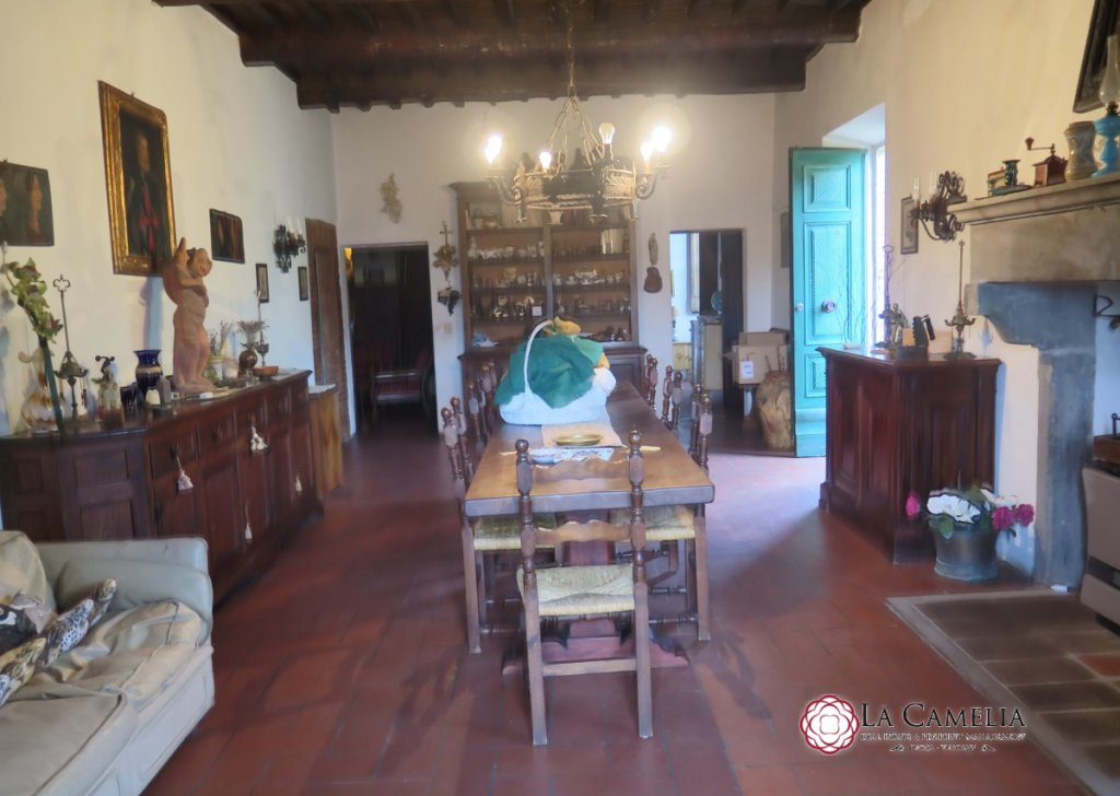 Sale Farmhouse Lucca - Stone Farm House on the hills of Lucca Locality 