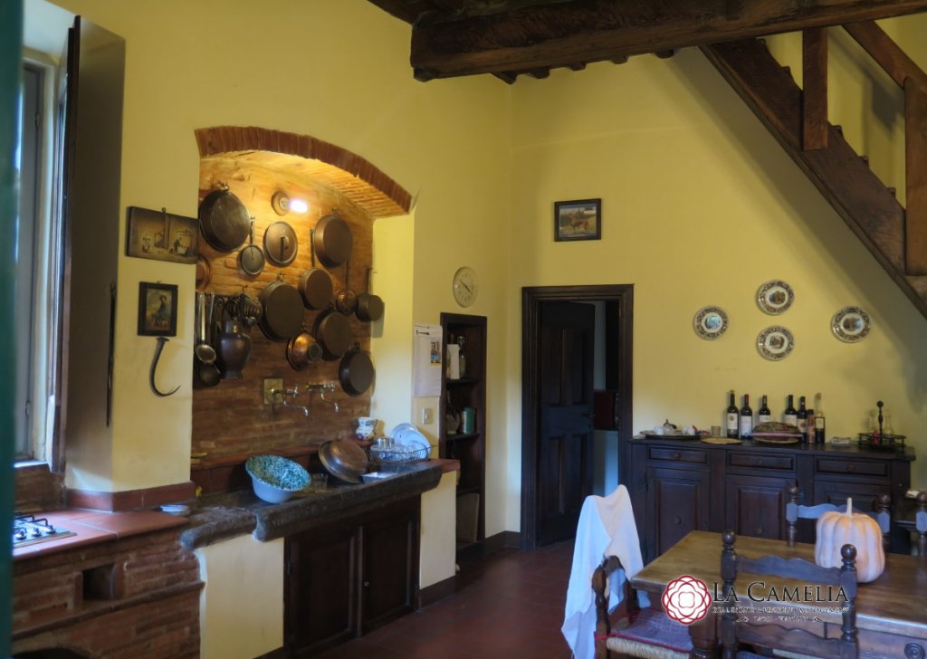 Sale Farmhouse Lucca - Stone Farm House on the hills of Lucca Locality 