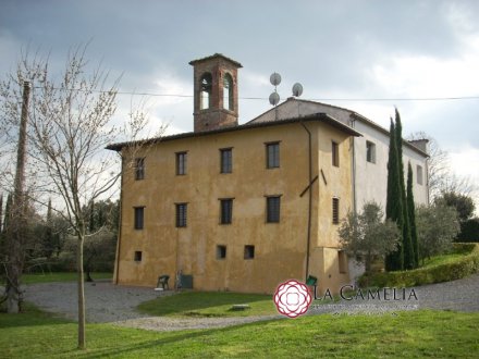 Rustico - Lucca Hills