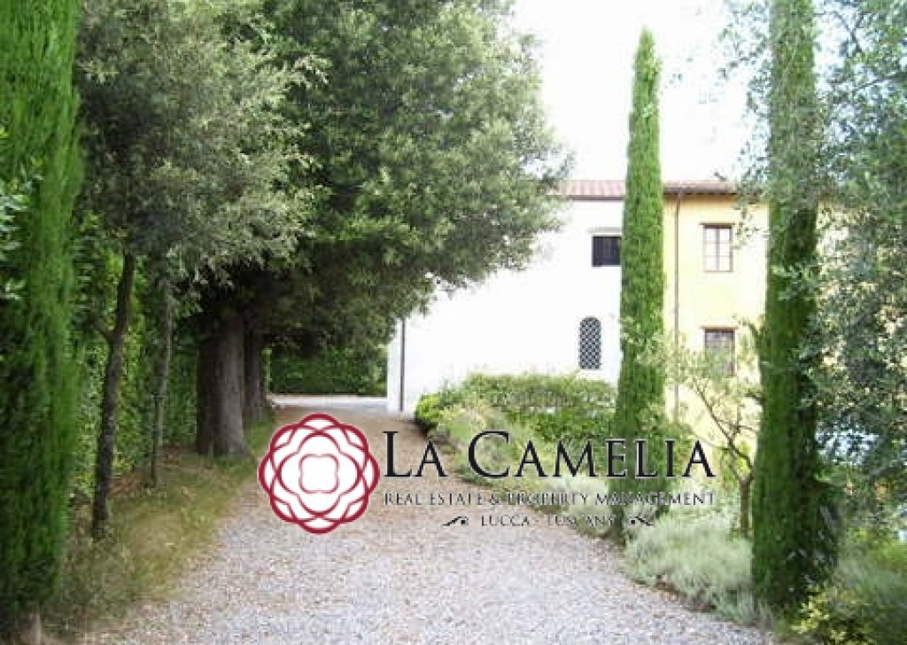 Vendita Casolare Capannori - Rustico - colline di Lucca Località Gragnano
