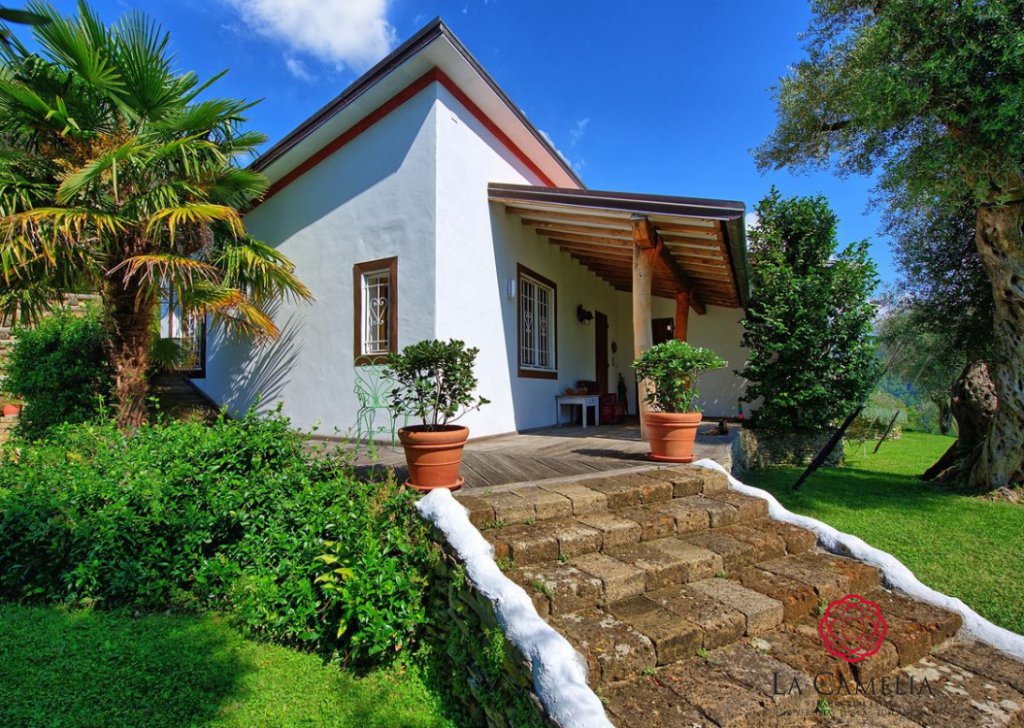 Holiday Rentals Villa Pietrasanta - Vacation Villa with sea view - hills overlooking Pietrasanta Locality 