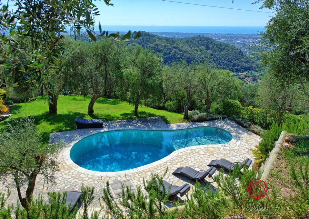Holiday Rentals Villa Pietrasanta - Vacation Villa with sea view - hills overlooking Pietrasanta Locality 