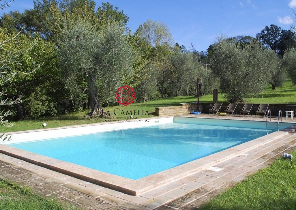 Casa Vacanza Casolare Palaia - Podere Le Torre - casolare con piscina - Affitti settimanali Località Colline