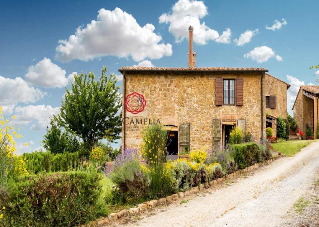 Holiday Rentals Farmhouse Pienza - Holiday Farmhouse with pool - Weekly rental Locality 