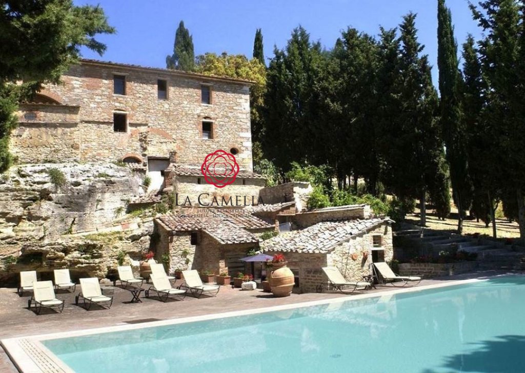 Casa Vacanza Casolare Asciano - Aia Vecchia - casolare con piscina - Affitti settimanali Località Asciano
