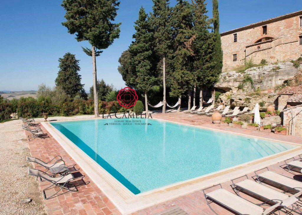 Holiday Rentals Farmhouse Asciano - Aia Vecchia - Farmhouse with swimming pool - Weekly rentals Locality 