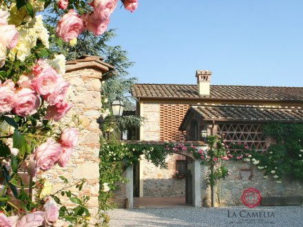 Holiday Home - Villa Il Mulino - Luxury Farmhouse - Lucca countryside