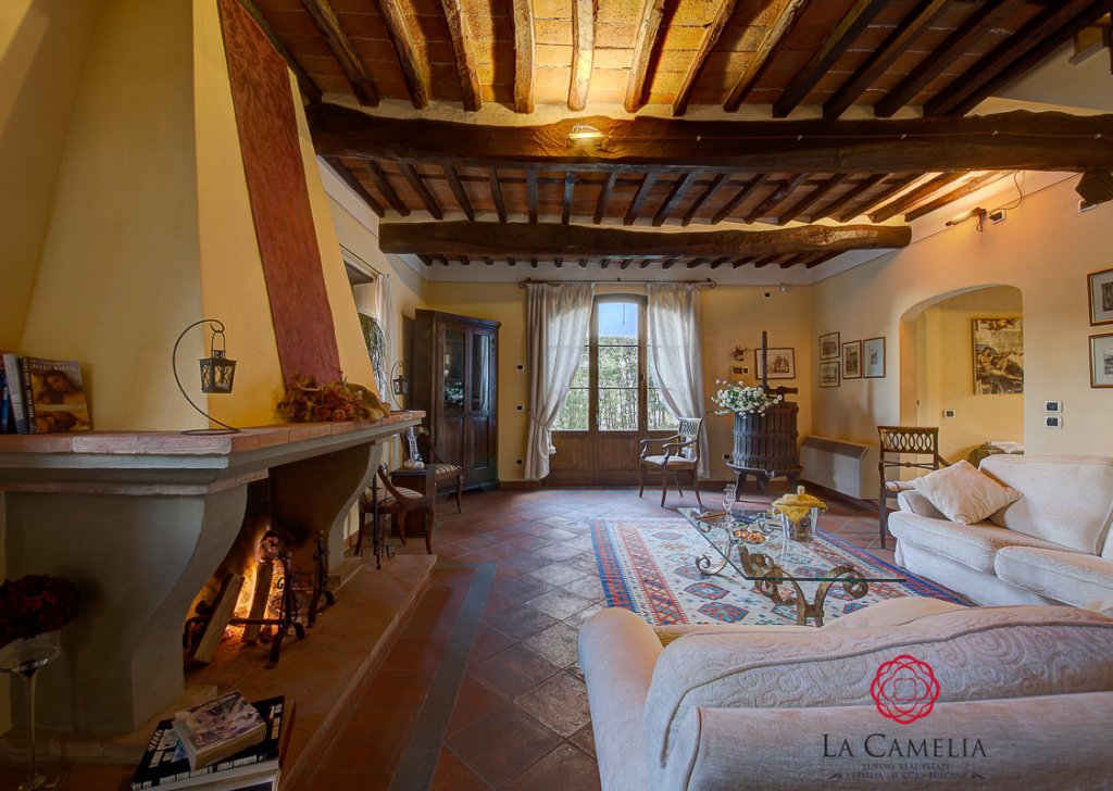 Holiday Rentals Villa Lucca - Holiday Home - Villa Il Mulino - Luxury Farmhouse - Lucca countryside Locality 