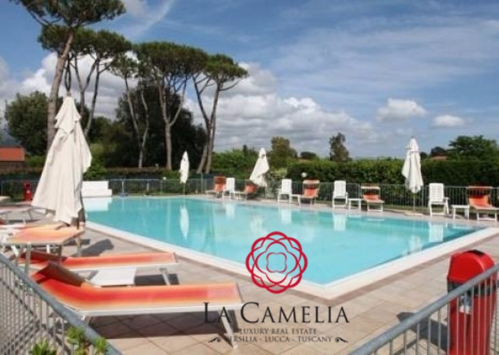 Sale Hotel  Camaiore - Hotel with pool-3 star hotel  -24  rooms - land to build a holiday home Locality 