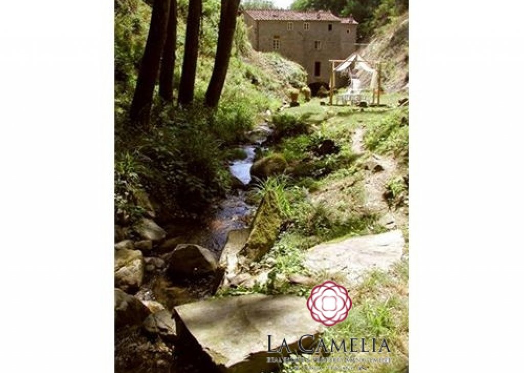 Sale Farmhouse Capannori - Restored Olive Mill - Lucca Hills Locality 