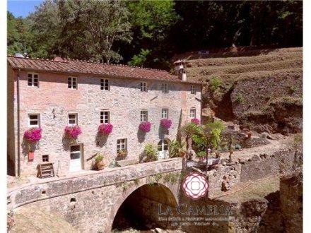 Restored Olive Mill - Lucca Hills