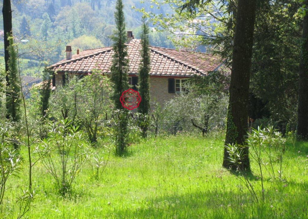 Vendita Casolare Pescaglia - Rustico di Prestigio  10 km da Lucca Località San Martino in Freddana