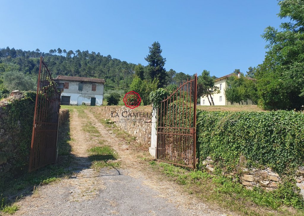 Sale Villa Capannori - Villa with garden to renovate, not far from Lucca Locality 