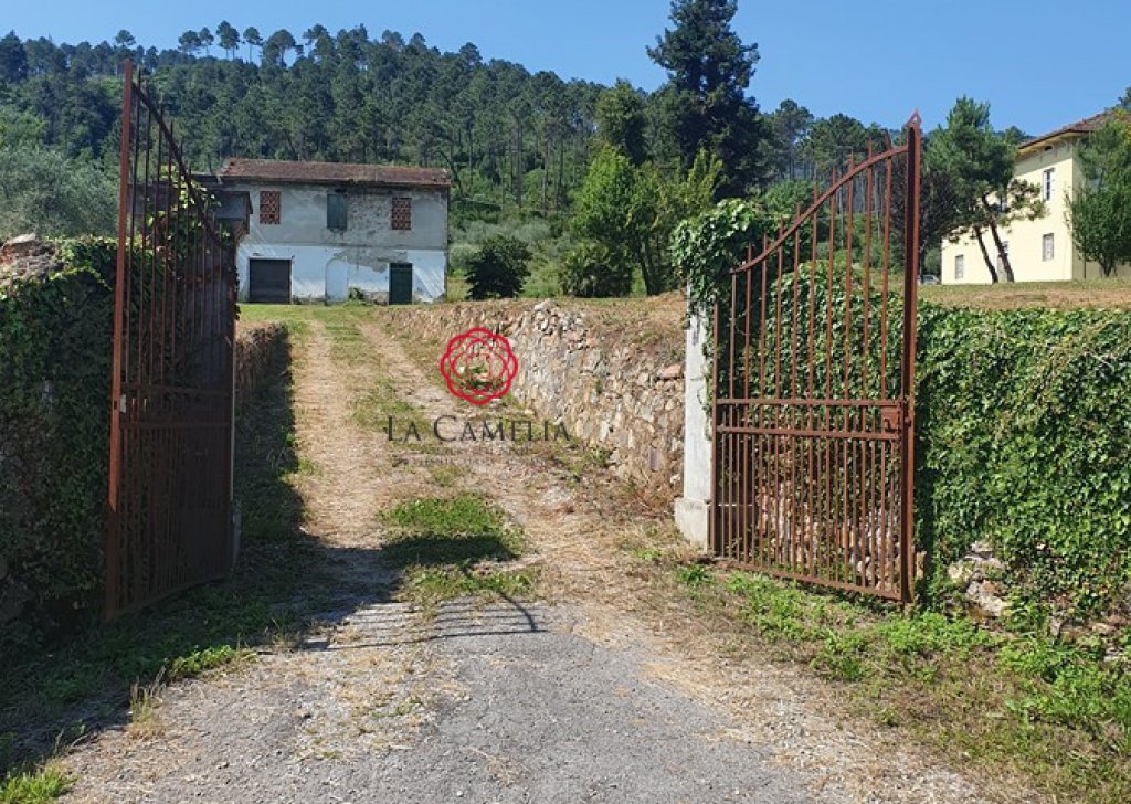 Villa  in vendita , Capannori, località Campagna