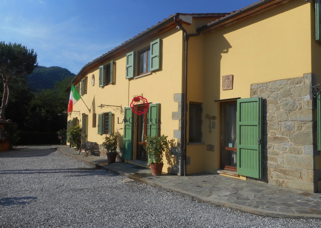 Sale Farmhouse Massa e Cozzile - Farmhouse consisting of 2 houses with swimming pool and panorama Locality 