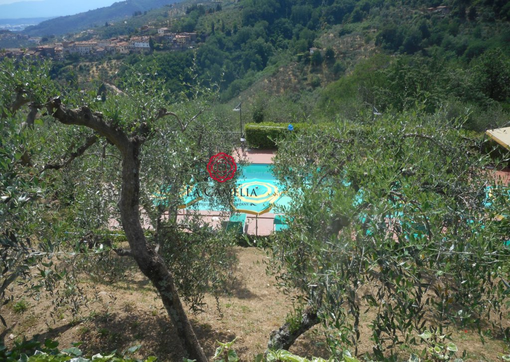 Vendita Casolare Massa e Cozzile - Casolare composto da 2 abitazioni con piscina e panorama Località Massa e Cozzile