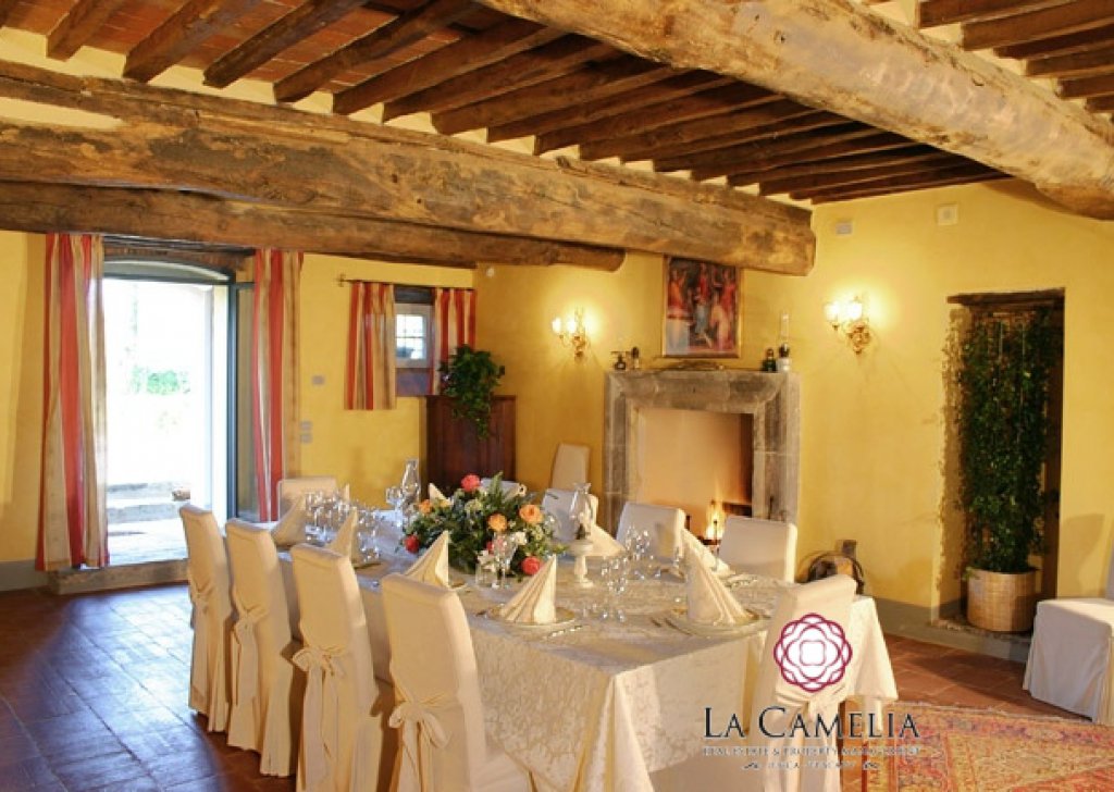Holiday Rentals Villa Lucca - Holiday Home -  Villa Le Rose - Luxury Villa - Lucca countryside -weekly rentals Locality 