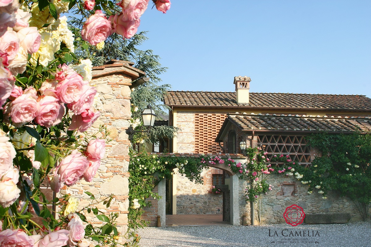 Casa Vacanza - Villa Il Mulino - Casolare di Lusso - campagna Lucca