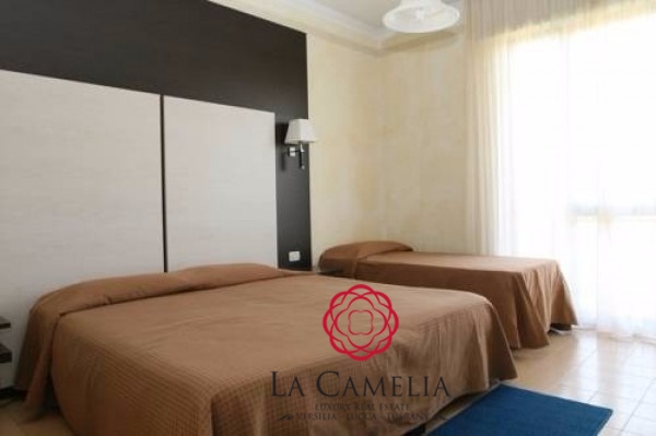 Albergo/Hotel Camaiore LU1060296